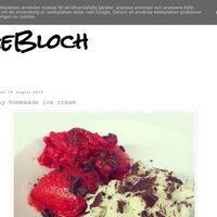the-bloch.blogspot.com