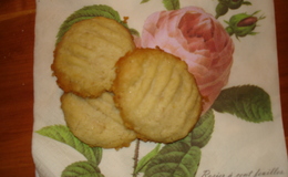 Biscuits - Sockerfri