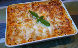 Krämig kycklinglasagne