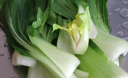 pak choi