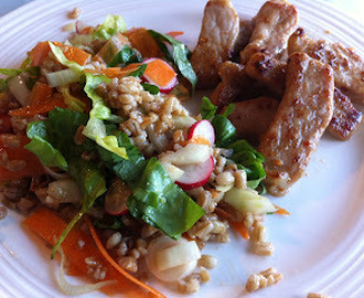 Aftensmad - Perlebyg salat med kryderet svinekød