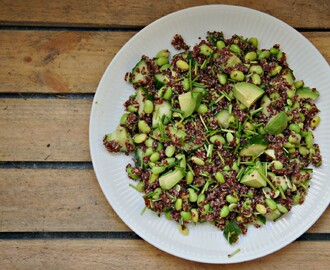 Avokadosalat med sort quinoa