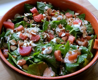 Skøn salat med spinat, rabarber og blå ostedressing