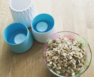 Müsli af havregryn og frø med kokosolie og sirup