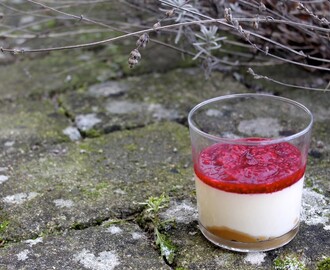 Panna cotta med hindbærcoulis og karamel