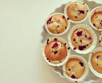 Vanilje muffins