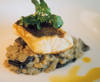 Red Snapper on Pearl Barley and Porcini Risotto