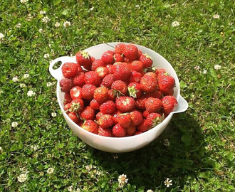 Tryllerier med jordbær og rabarber
