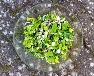 Green Summer Salad