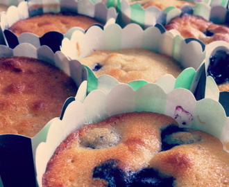 Cupcakes med hvid chokolade, blåbær og vaniljefrosting