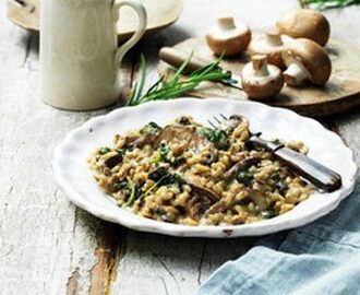 Risotto med svampe