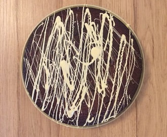 Opskrift på svensk chokoladekage