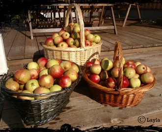Suolapähkinäinen omenapiirakka