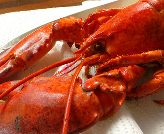 Hurmaavaa hummeria uudeksi vuodeksi - lobster à l'américaine