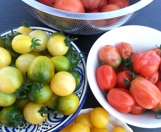 Tomaattivammoja & tomaatti-valkosipulichutneyta
