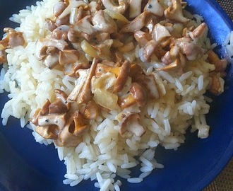 Kantarellikastike riisin kanssa