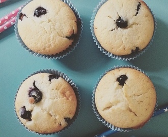 Mustikka-vaniljamuffinssit, Blueberry cupcakes
