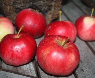 Omenaviikko: Kaurainen omenapiiras