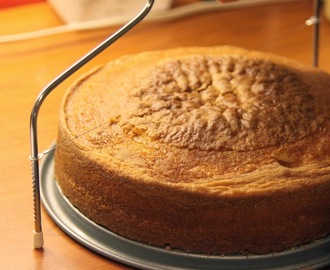 Sienikakkupohja - Sponge Cake
