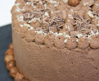 Suklaa-pähkinäkakku / Chocolate Nut Cake