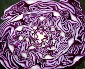 Coleslaw - tosimiesten värimaailmaan, Red Cabbage Coleslaw