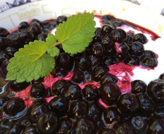 Sukkerfri blåbærdessert med fire ingredienser