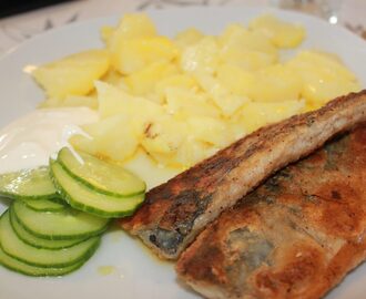 Stekt makrell med rømme og agurksalat