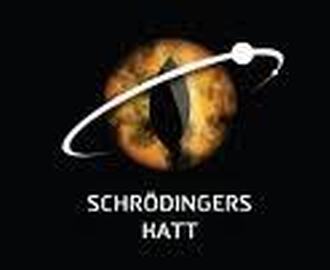 Interessant fra Schrödingers katt - igjen!