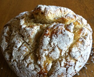 Glutenfritt eltefritt brød