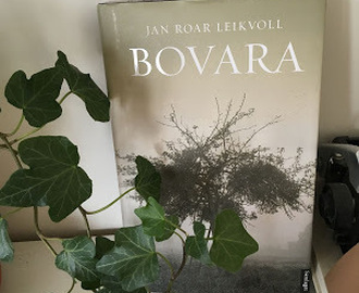 Smakebit på søndag: "Bovara" av Jan Roar Leikvoll