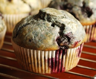 Frokostmuffins med blåbær