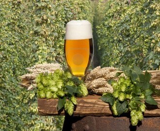 Ny forskning viser at øl er sunt.