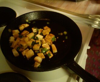 Soyastekt tofu