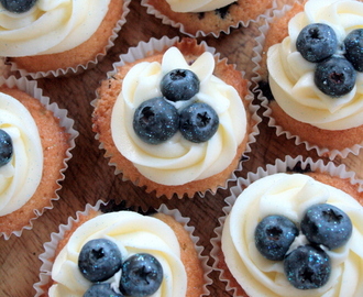 American blueberry cupcakes