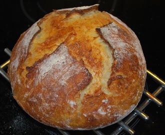 No knead biola bread!
