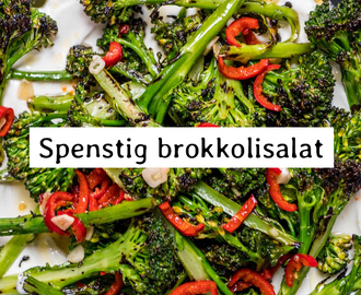 Brokkolisalat med chili, hvitløk og labneh