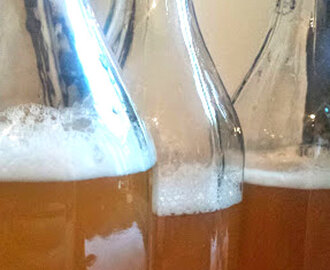 Kombucha – fermentert te