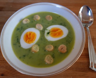Neslesuppe