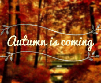 9 ting jeg liker med høsten