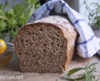 Eltefritt rugbrød med rosemarin