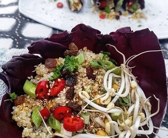 15e Luckan - Rödkålsknyten med kryddig Quinoa - Spicy Quinoa with Purple Cabbage