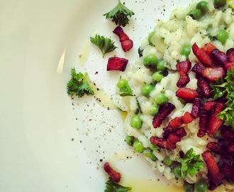 Risotto med ärtor, persilja och knaperstekt sidfläsk