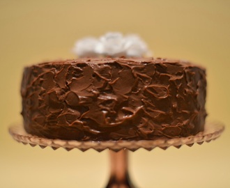 Chocolate vanilla dream cake