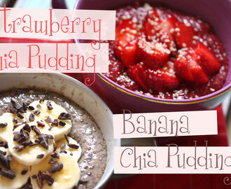 Nut free Chia Pudding, two basic recipes~