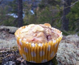 Nyttigare hallon- och kokosmuffins utan socker!