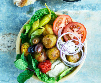 Falafel bowl med hummus