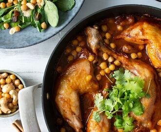 Kyllingegryde - opskrift på lækker marrokansk kyllinge gryde i 2020 | Kyllingegryde, Opskrifter, Kylling gryderet