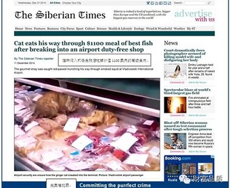 Nyheter från Sibirien,The Seberian times