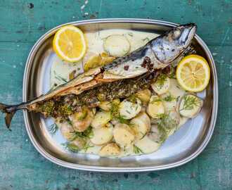 Grillad makrill fylld med krondill samt gräddkokt potatis och dill