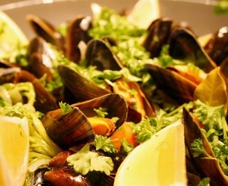 Moules Marinières, burkmusslor, folköl & dansbandsmusik